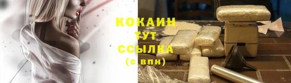 альфа пвп Медвежьегорск