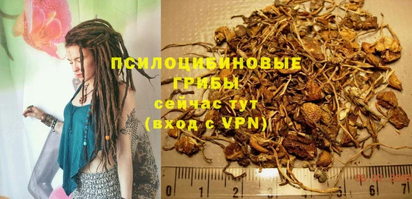 амфетамин Белокуриха